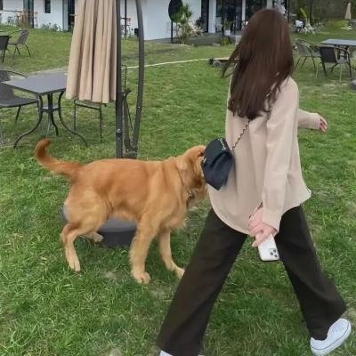我的留级岳父